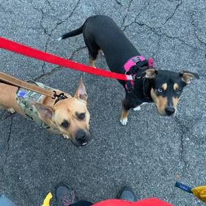 Meet your Posher, Charles